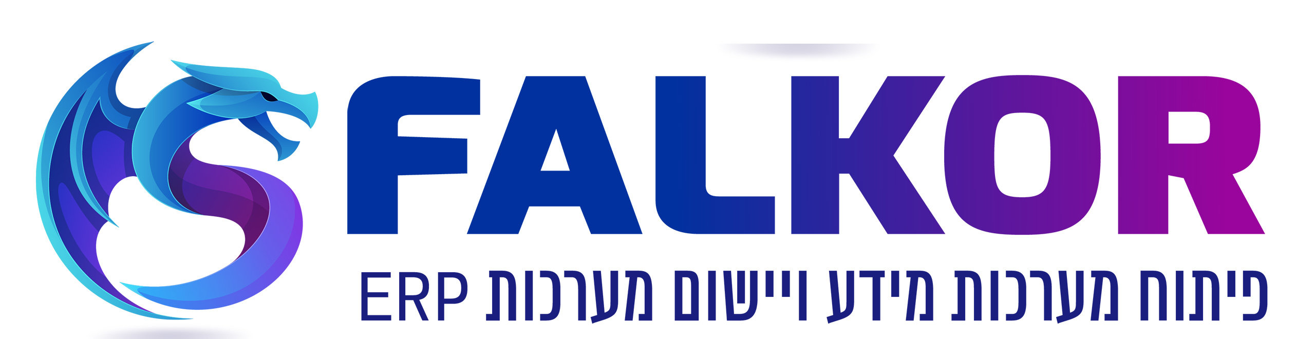 פלקור תוכנה - פיתוח מערכות מידע, יישום והטמעת מערכות ERP